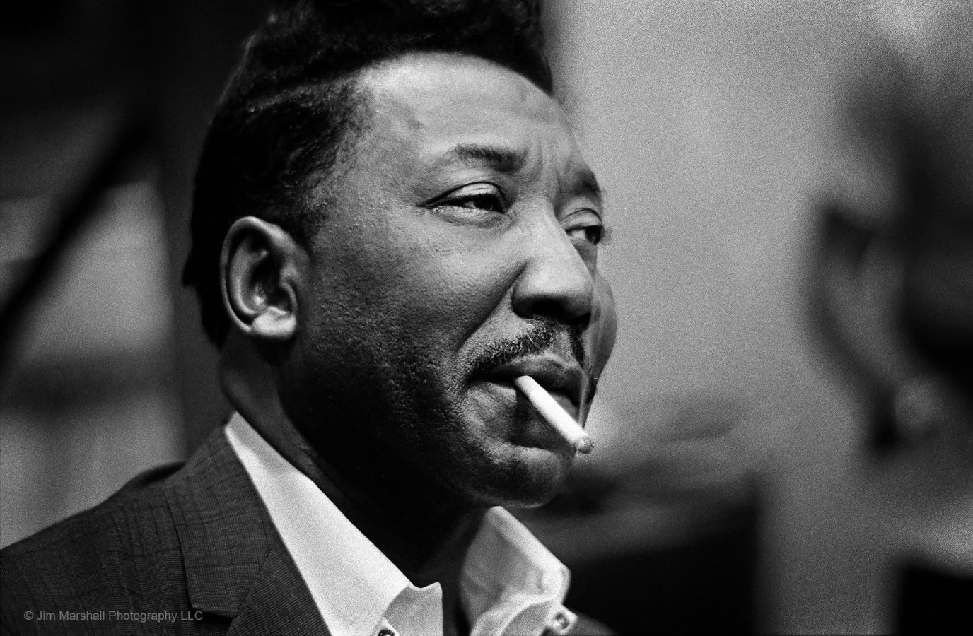 Muddy Waters